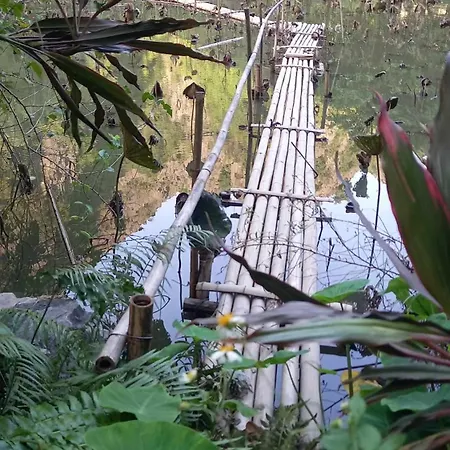 Thung Sen Tam Coc Chalets Ninh Binh Room photo