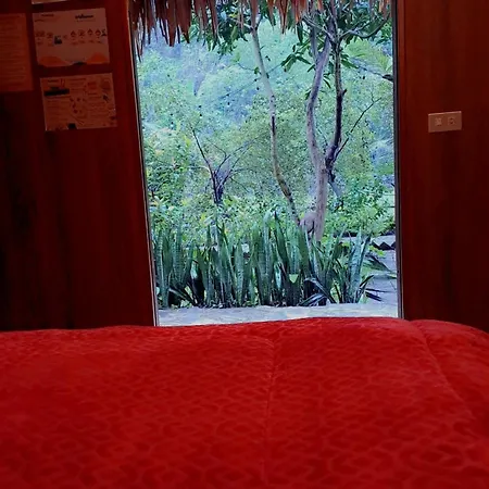 Thung Sen Tam Coc Chalets Ninh Binh Room photo