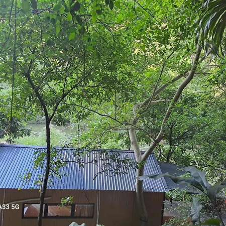 Thung Sen Tam Coc Chalets Ninh Binh Exterior photo