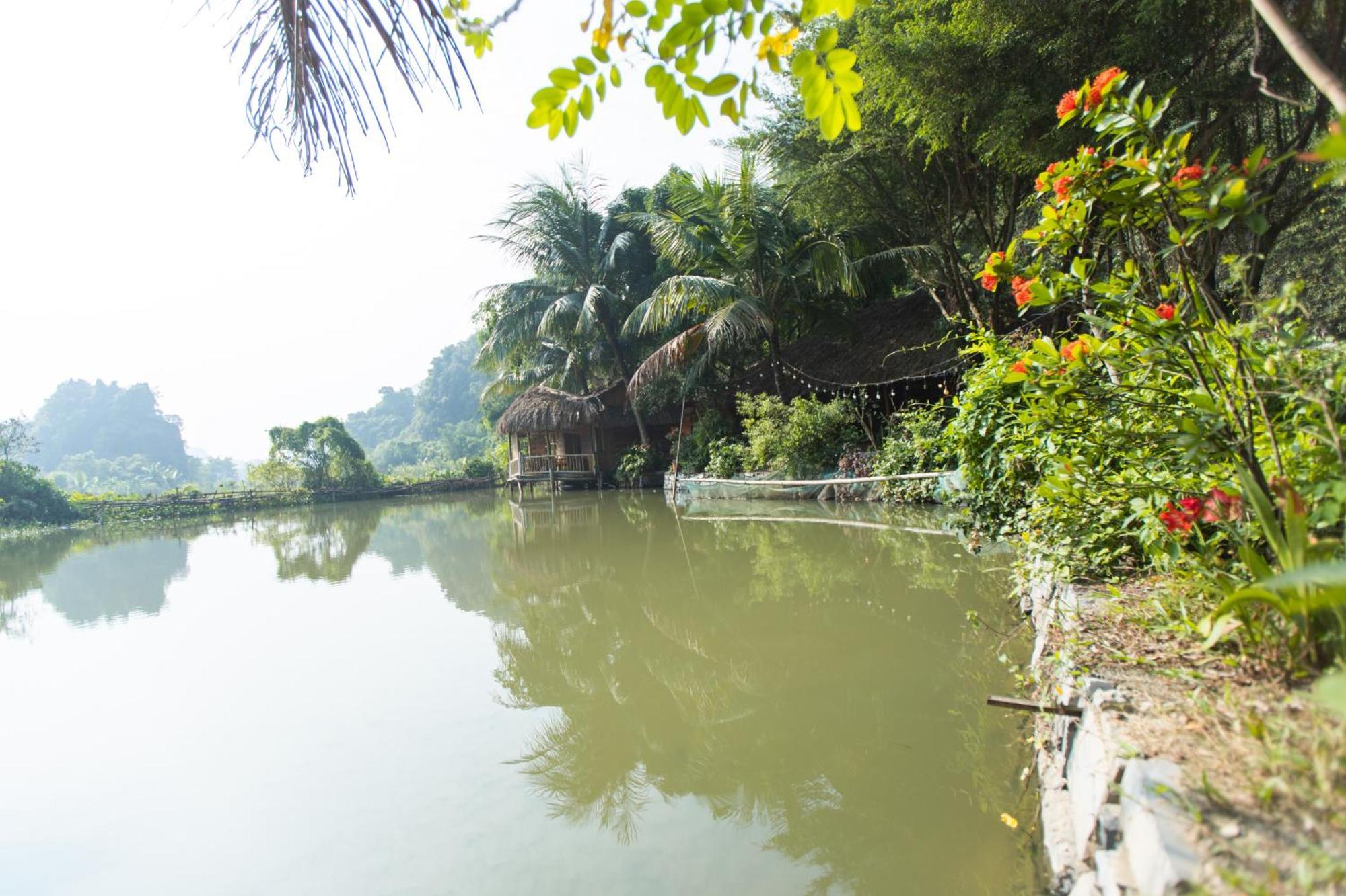 Thung Sen Tam Coc Ninh Binh