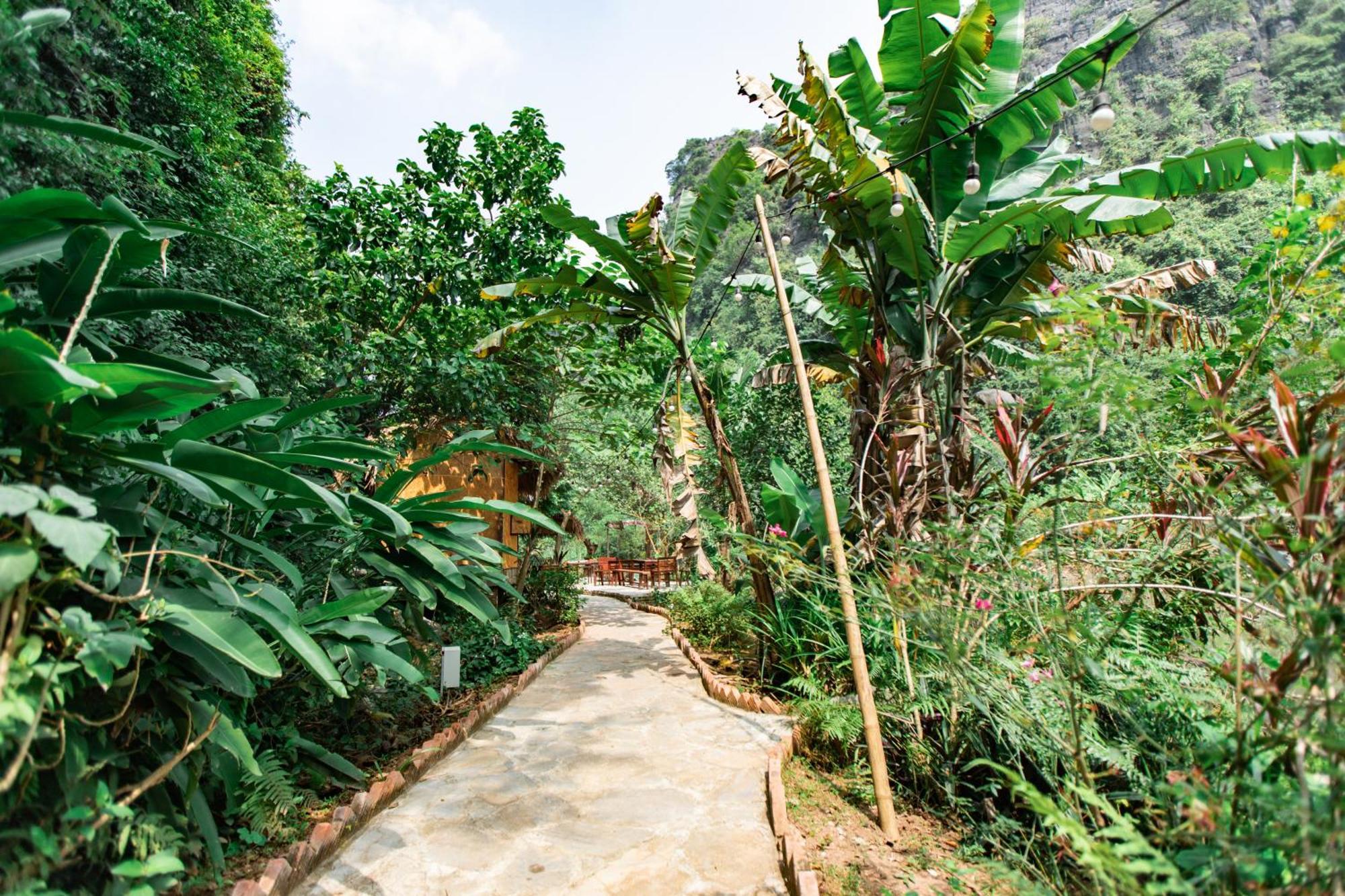 Thung Sen Tam Coc Ninh Binh