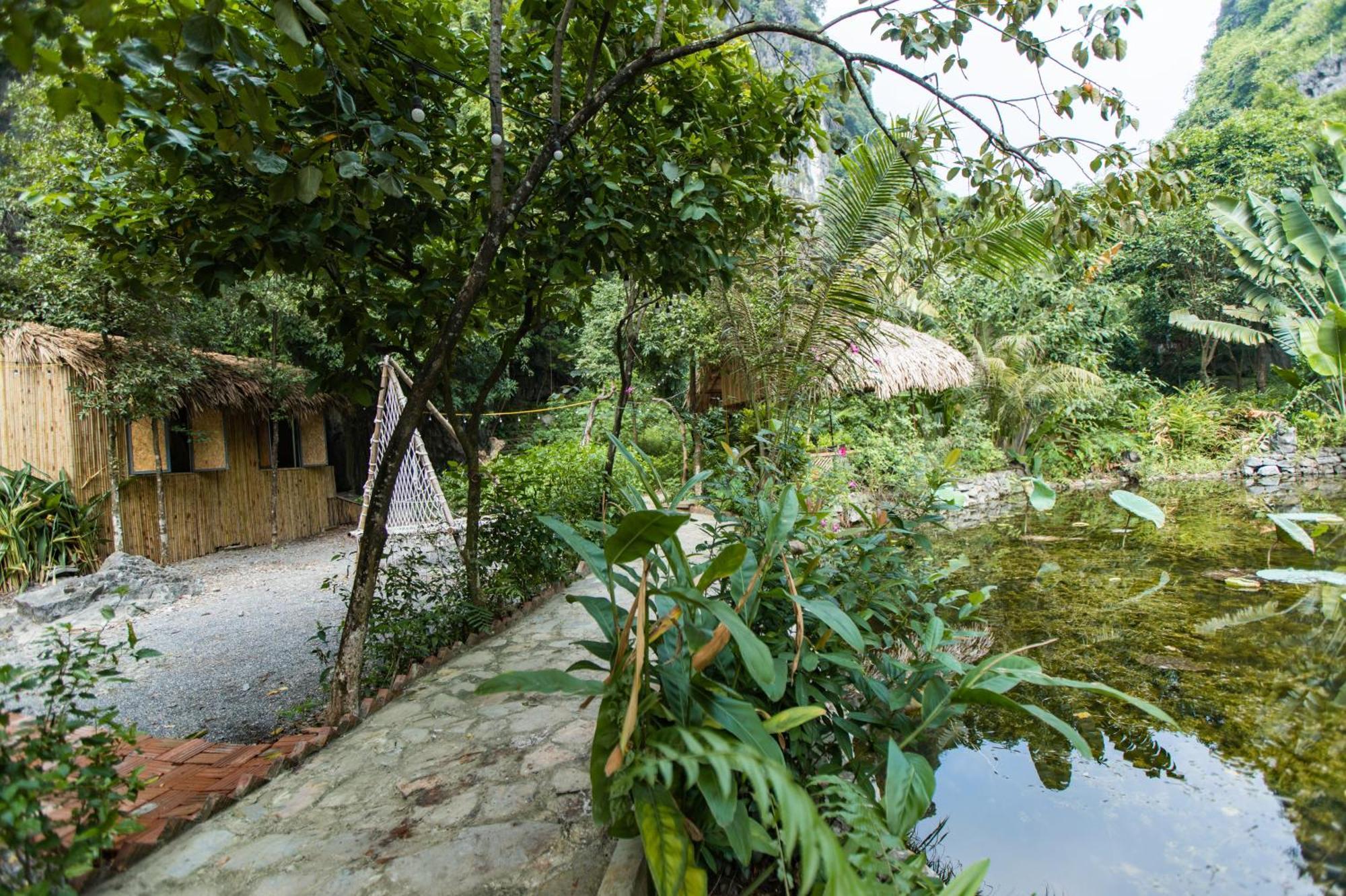Homestay Thung Sen Tam Coc